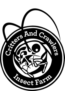 Critters and Crawlers Insect Farm Logo